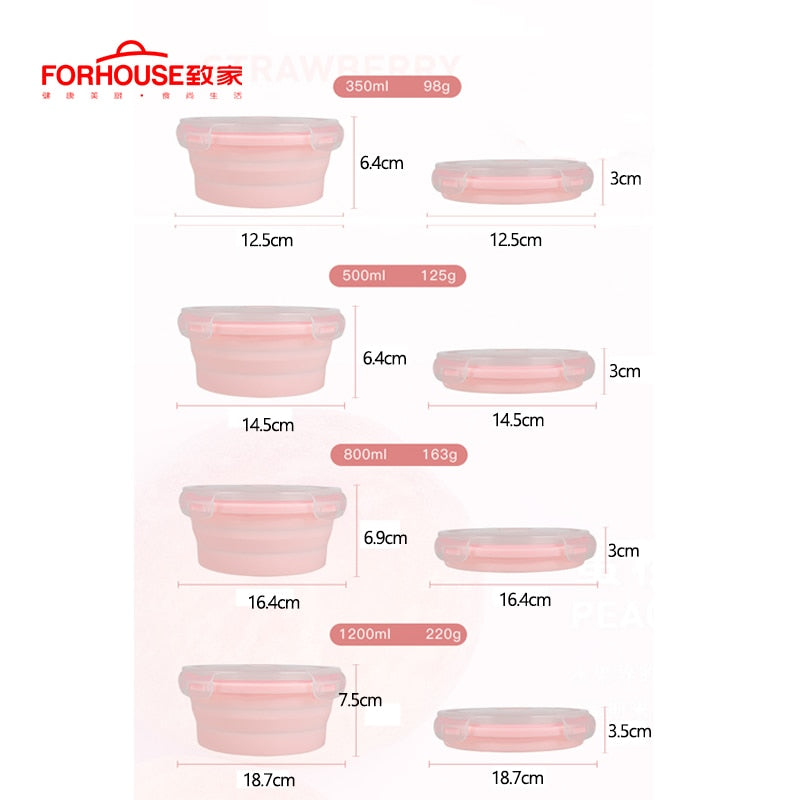 Silicone Collapsible Food Storage Container
